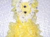 特殊-30-黃花藍寶舞衣